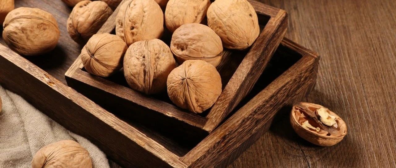 2024 SIAL CUP 咖啡師全能賽圓滿收官！冠亞季軍揭曉！