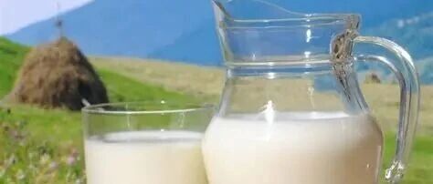 乳業(yè)透視：分化陣痛中轉(zhuǎn)型，價值升維里突圍